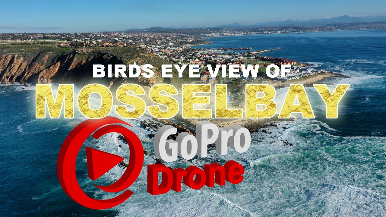 Mossel Bay The Point Mossel Bay | Mosselbaai Die Punt | Coastline & Wildlife