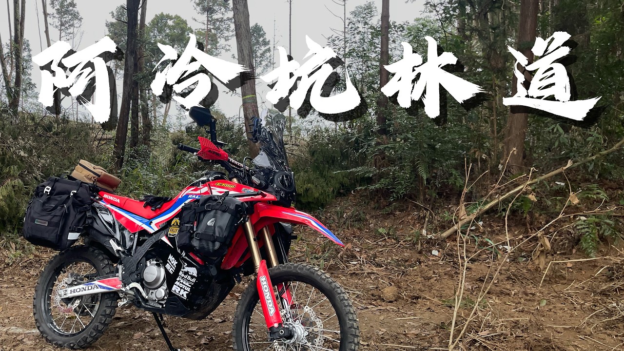 阿冷坑林道-中部林道-CRF300Rally