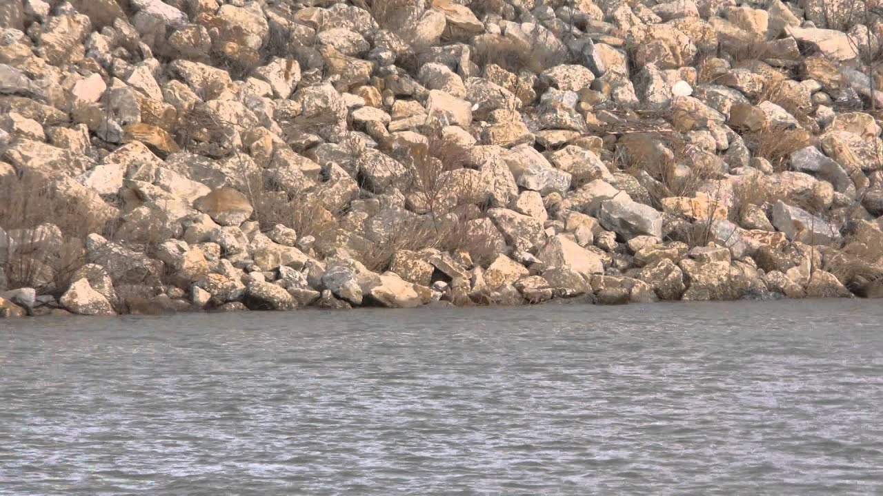 Friedhof der Namenlosen