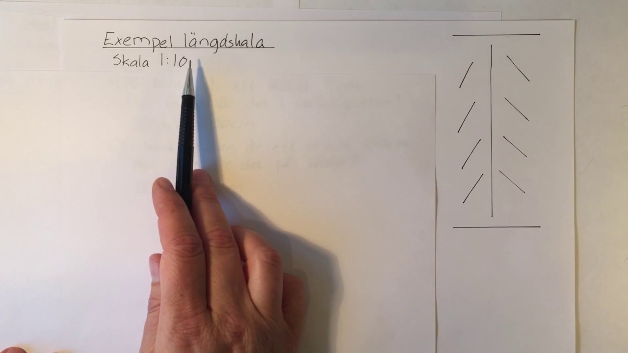 NP åk 9: Geometri - Skala