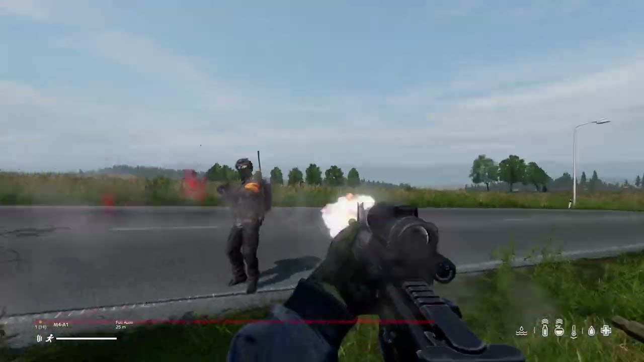 DayZ - Bait and switch!