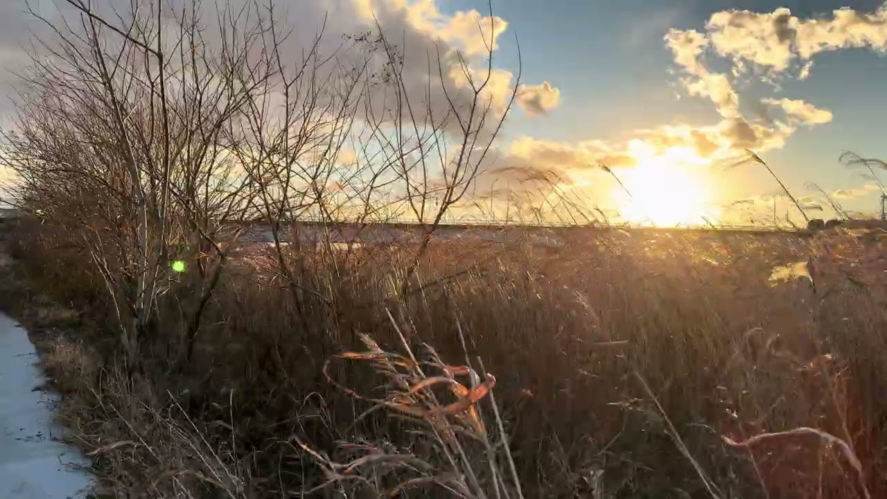 【4K HDR】冬の夕暮れを歩く｜埼玉・狭山 入間川 河川敷｜1月16時の静かな散歩 8分