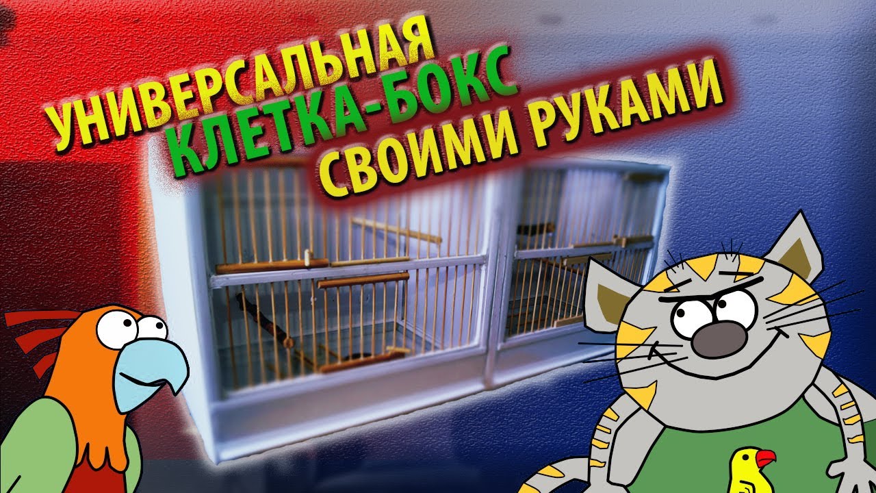 Клетка-бокс для разведения своими руками I Разведение канареек