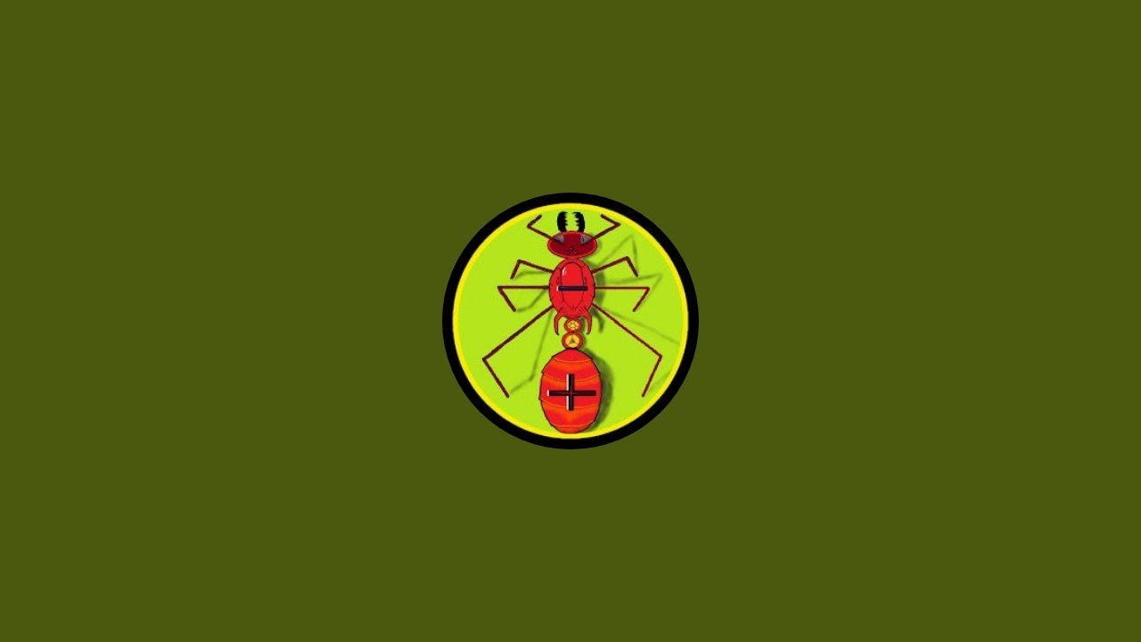 Anty Matters is live
