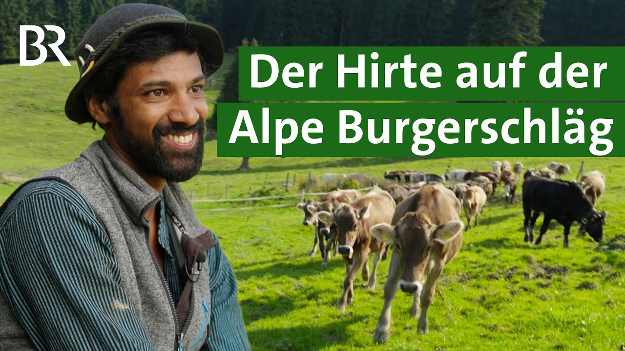 Fremde Wurzeln, Heimat Allg&auml;u: Der Hirte von der Alpe Burgerschl&auml;g | Unser Land | BR