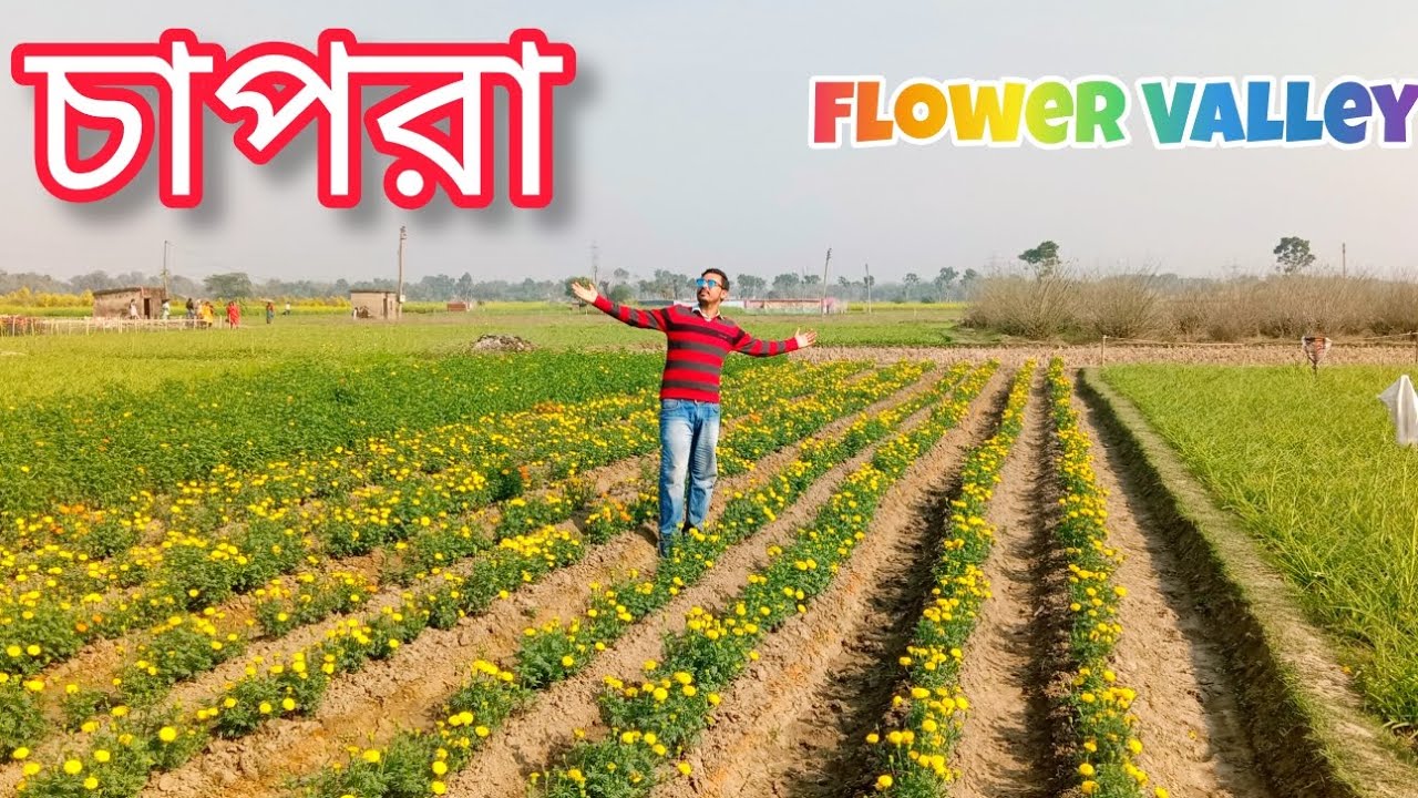 Chapra Flower Valley|| Trending Destination in West Bengal||