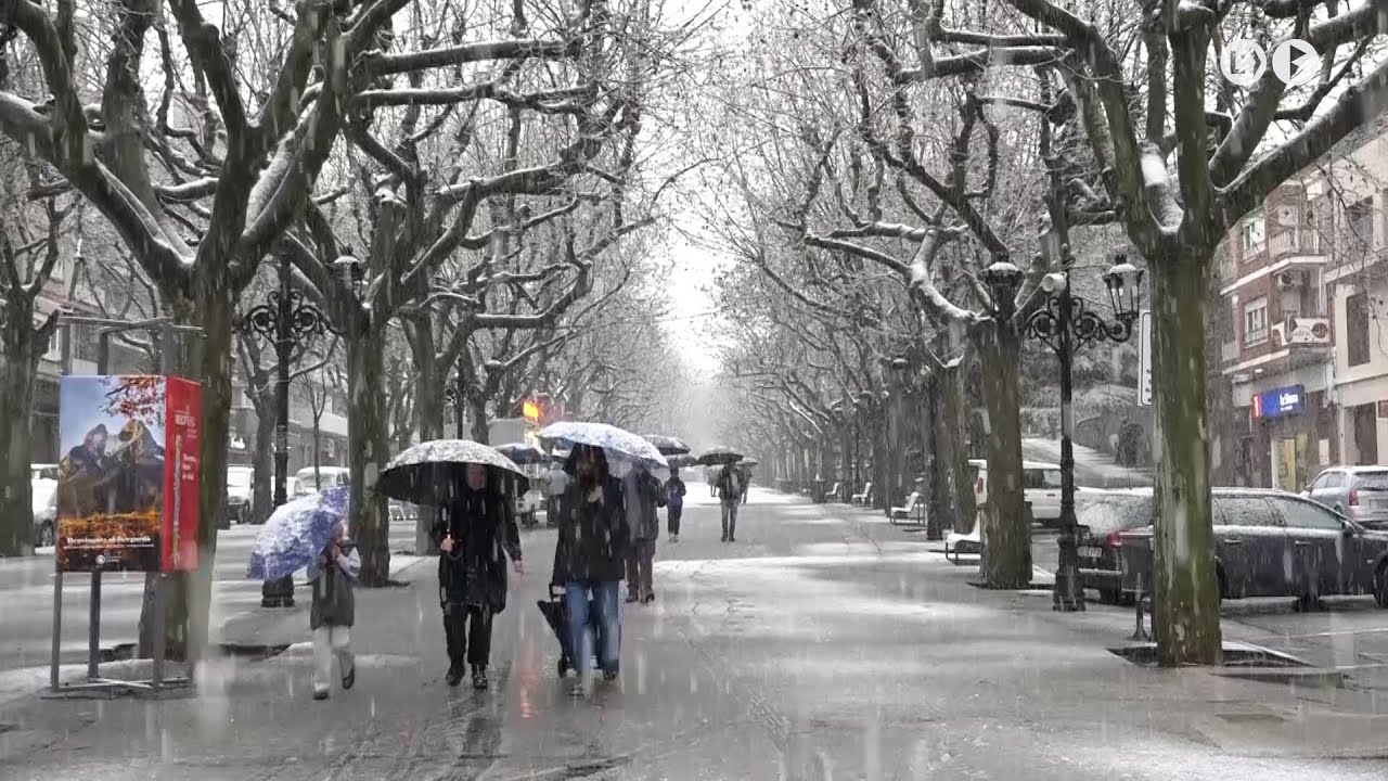 Així va viure el Berguedà la nevada de dissabte