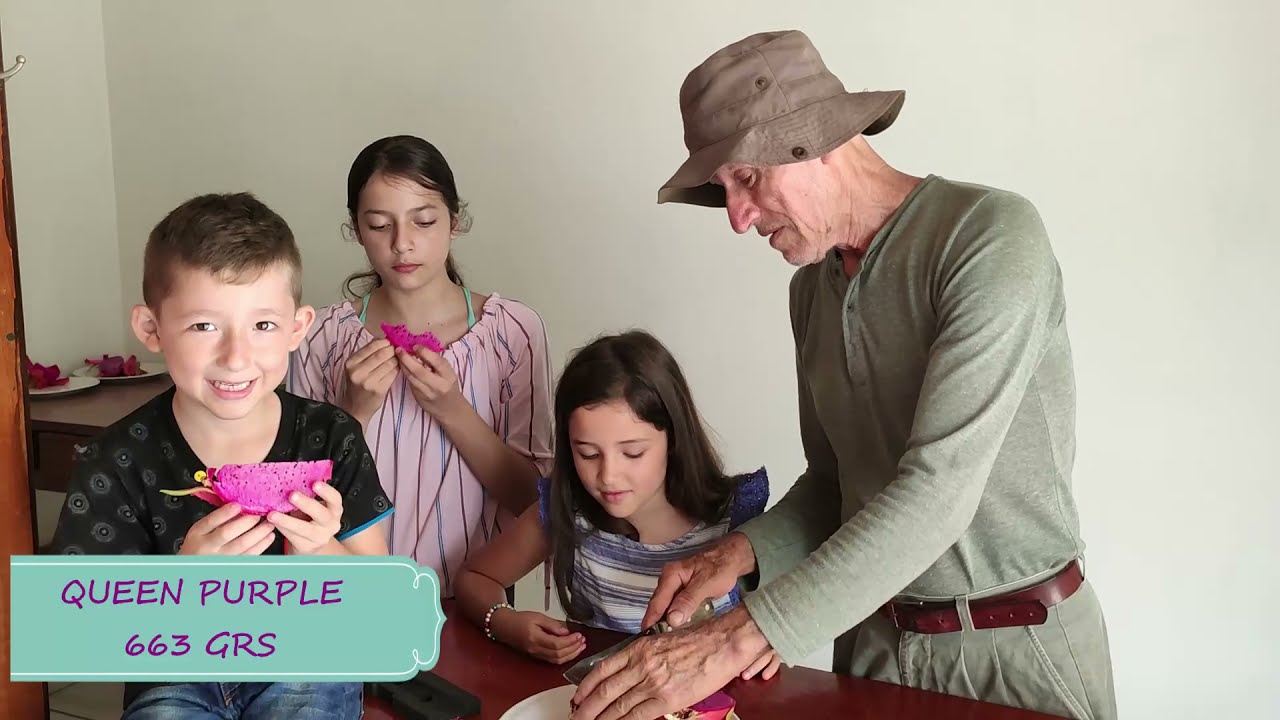 DEGUSTANDO PITAHYAYAS 2021: QUEEN PURPLE, HALLEY COMET, GRAFITTI, VALLE DE CAPISTRANO