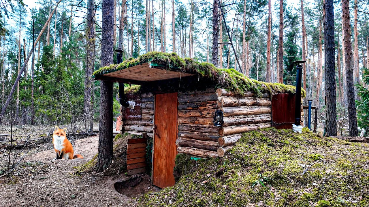 48 Hour Spring Retreat:  Transforming My Log Cabin After a Fire!
