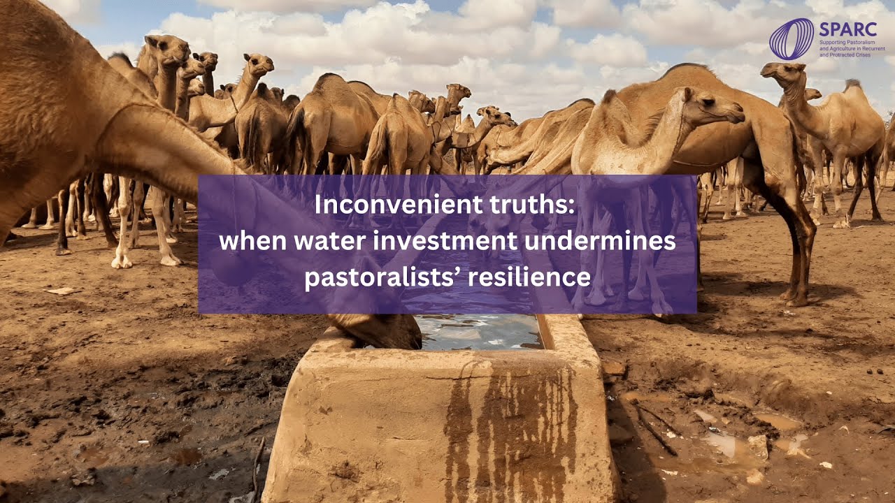 Inconvenient truths: when water investment undermines pastoralists' resilience