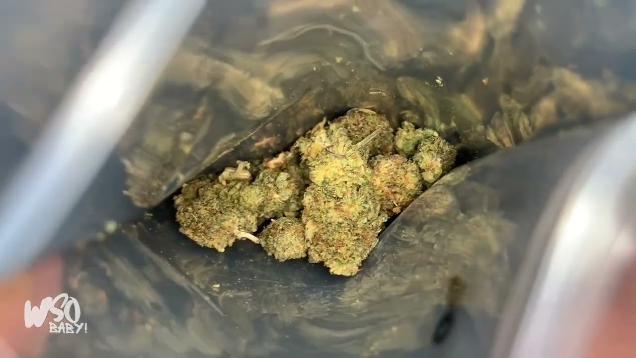 Snowcap Strain