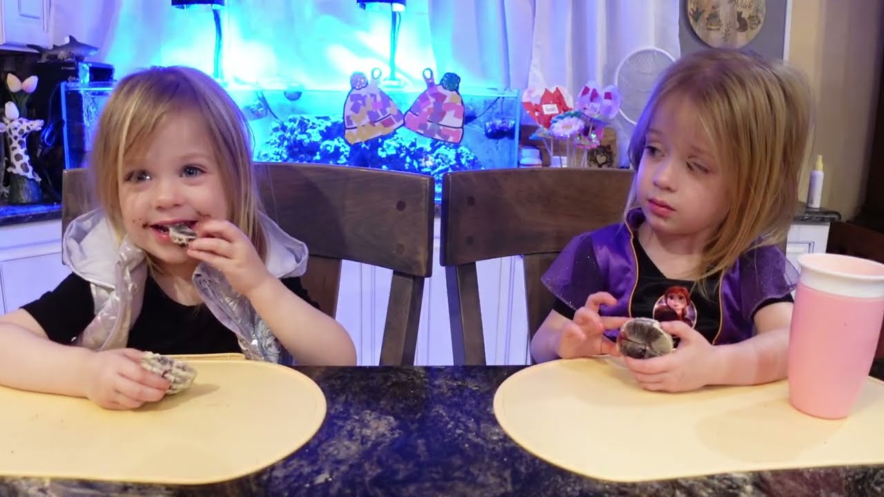 Twins try fudge brownies