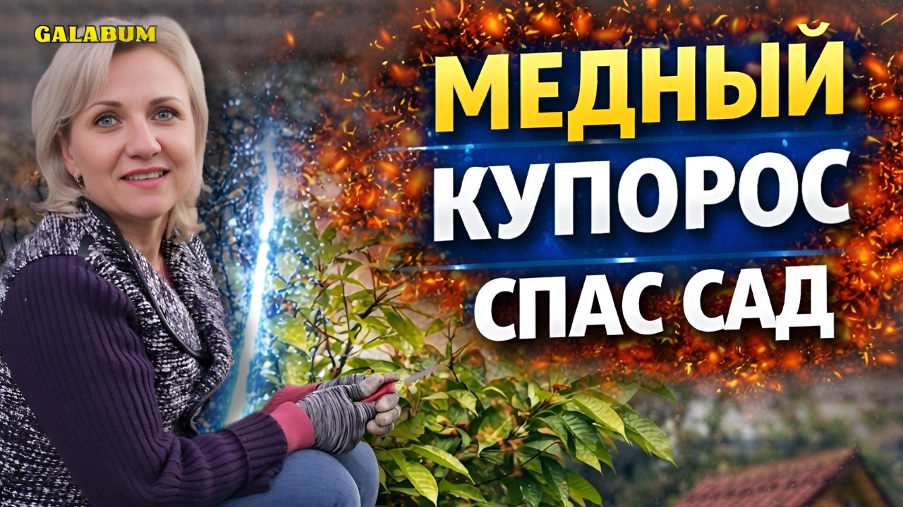МЕДНЫЙ КУПОРОС ТВОРИТ ЧУДЕСА НА ДАЧЕ в ГЕРМАНИИ / Как Разводить Медный Купорос ПРНАВИЛЬНО @galabum​