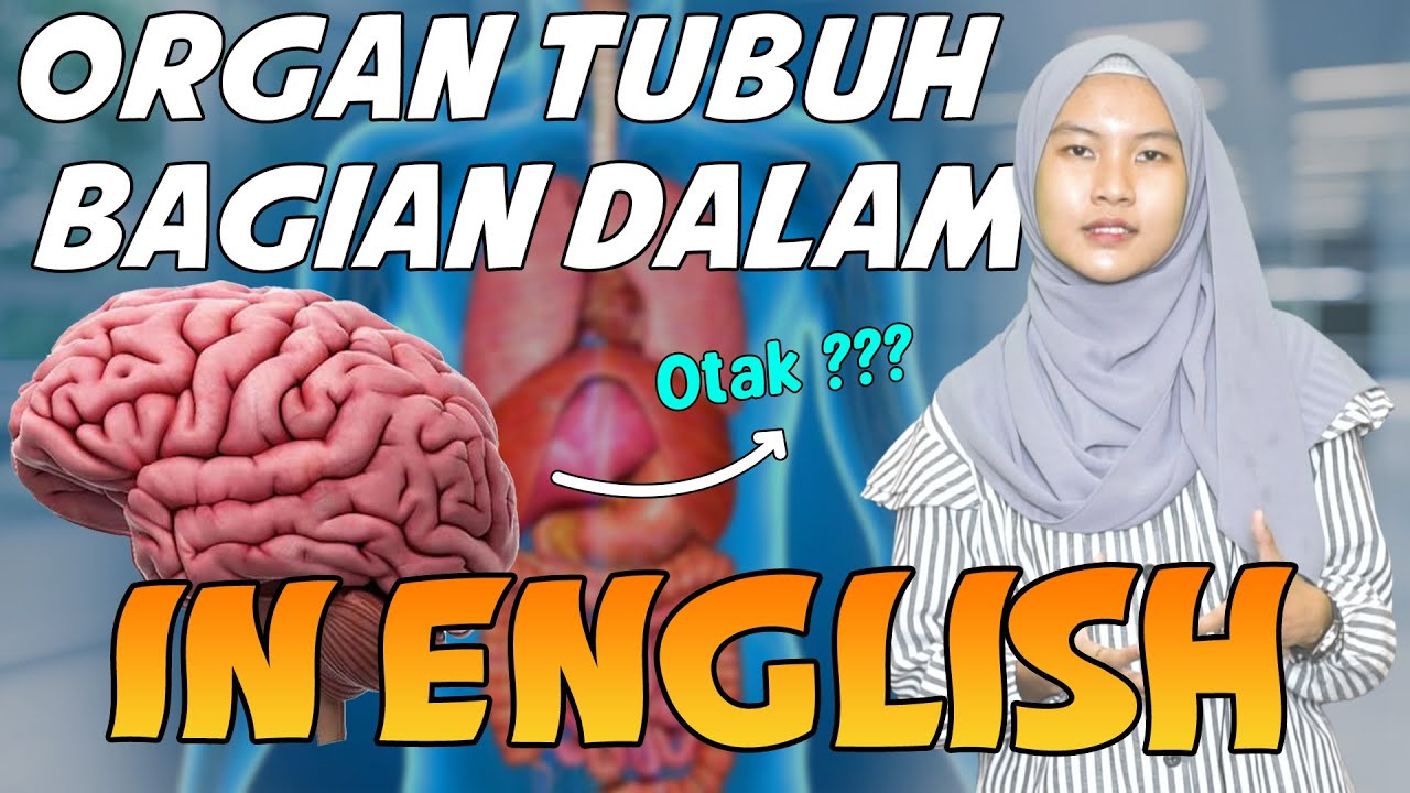 Belajar Nama Organ Dalam Tubuh Manusia dalam Bahasa Inggris || Kak Nabila
