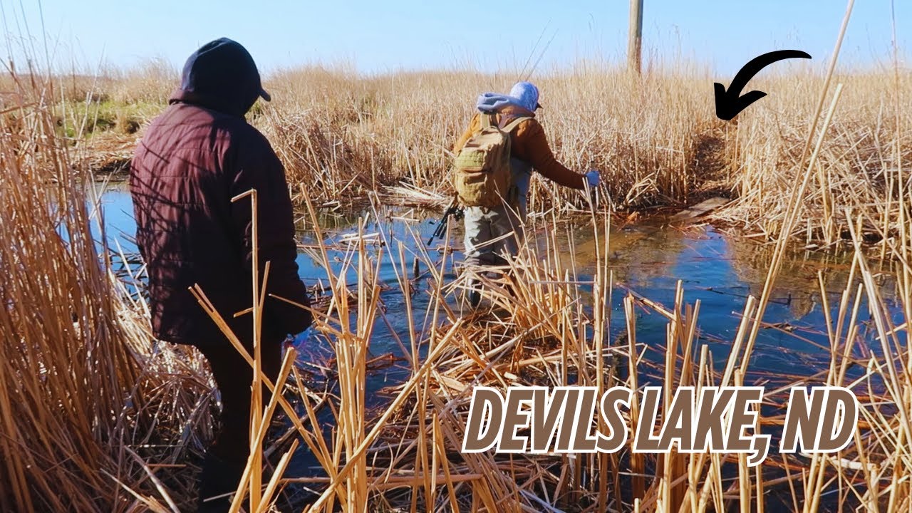 Find White Bass in areas like this | May 2025 Devils Lake, ND White Bass Fishing