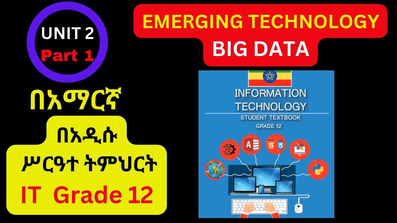 IT GRADE 12 UNIT 2 Part 1/THEORETICAL INSIGHTS INTO BIG DATA: CHARACTERISTICS AND APPLICATIONS