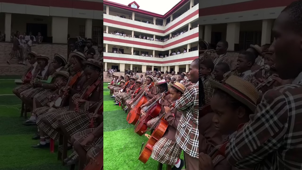 Honeyland School Orchestral