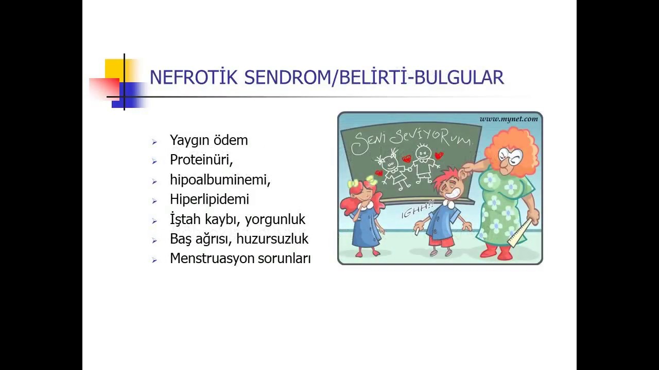 Üriner sistem
