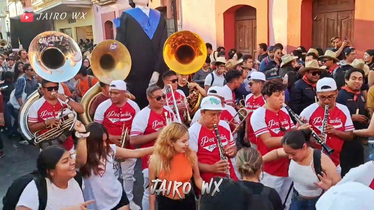 LA NENA 💁🏼‍♀️BANDA PEQUEÑA DEL VALLE - EL BURRO LOCO 🔥Y EL VENAO 🦌