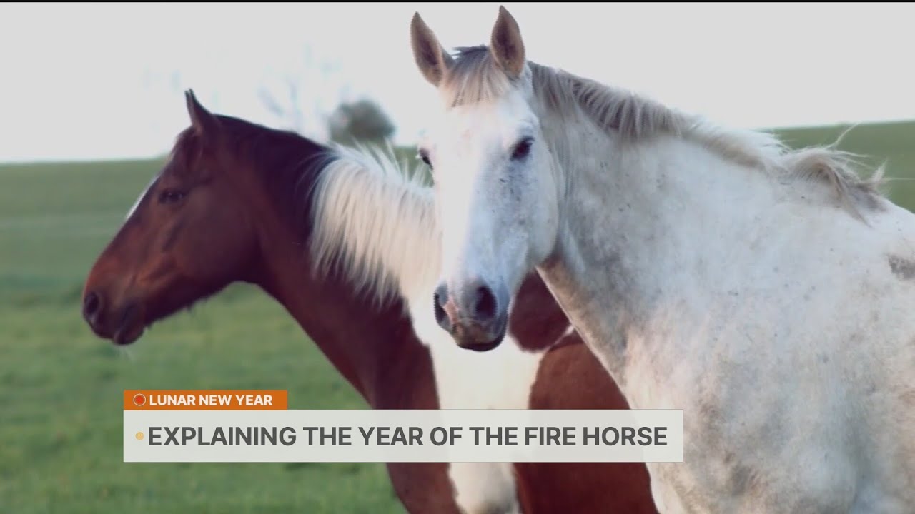 Lunar New Year: Year of the Fire Horse explained