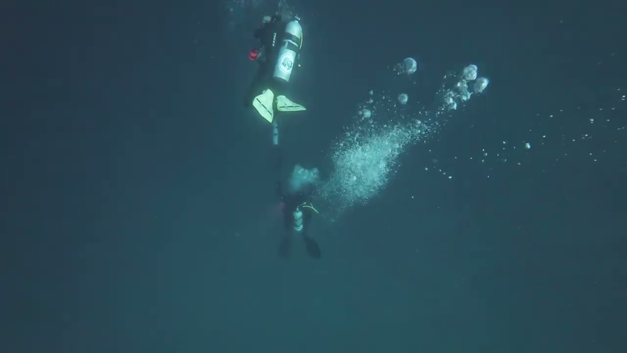 again Deep Monkey ... 