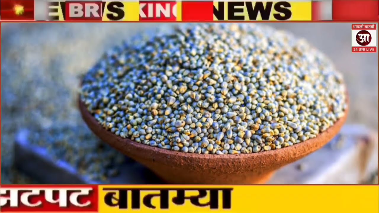  शेतकऱ्यांसाठी ठळक बातम्या | कर्जमाफी | कापूस भाव PM योजना,pik vima |NEWS HEADLINES