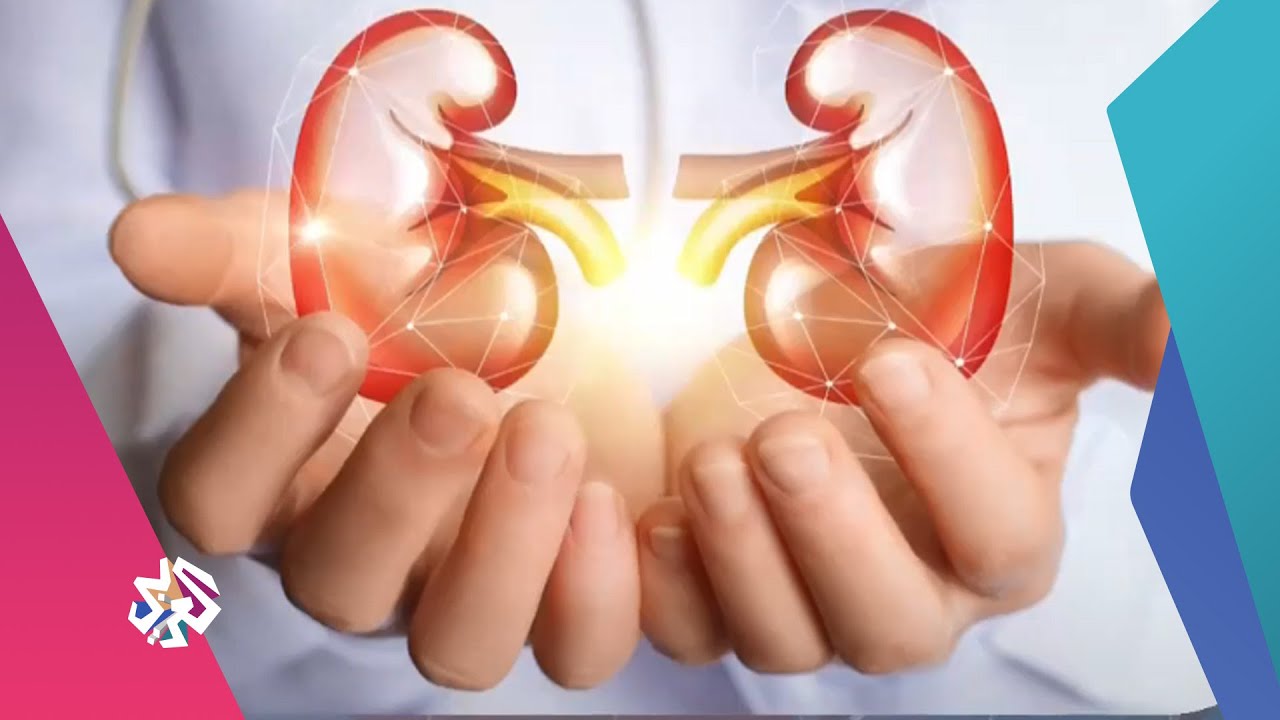 عمليات زراعة الكلى.. الأنواع والتأثيرات | صباح النور