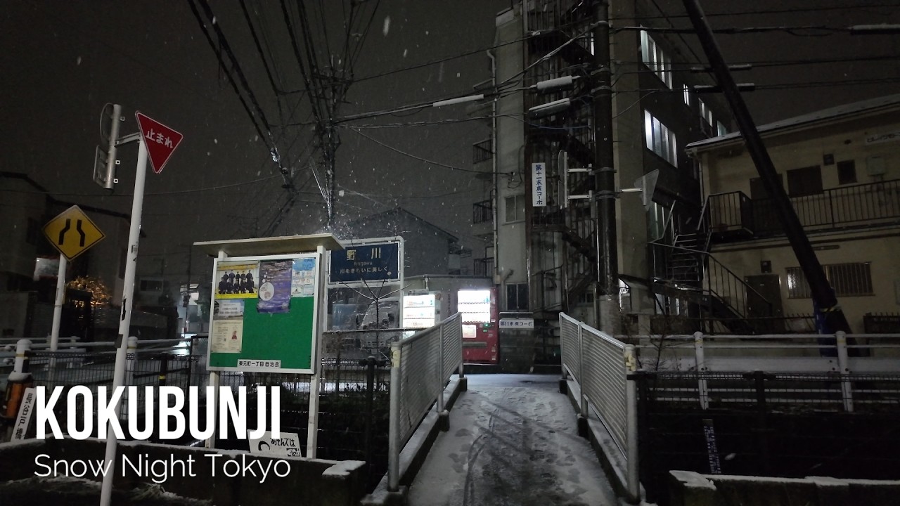 Kokubunji, Tokyo on a snowy night【4K Japan Walk】