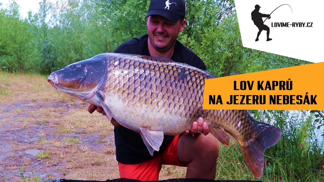 Lov kaprů na jezeře Nebesák