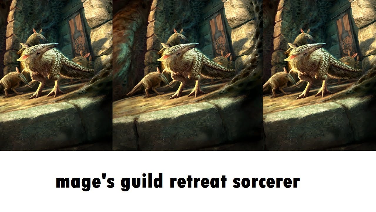 Impomptu Mage's Guild Retreat Sorcerer | Elder Scrolls Legends