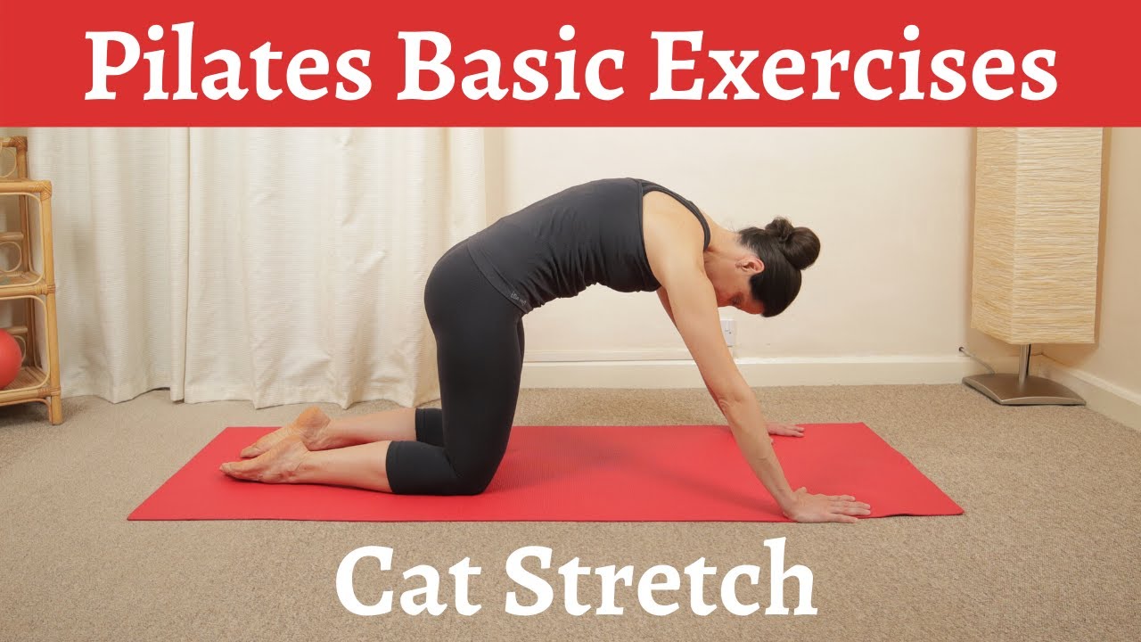 How to Do the Pilates Cat Stretch Exercise Correctly | Pilates Basic Exercises