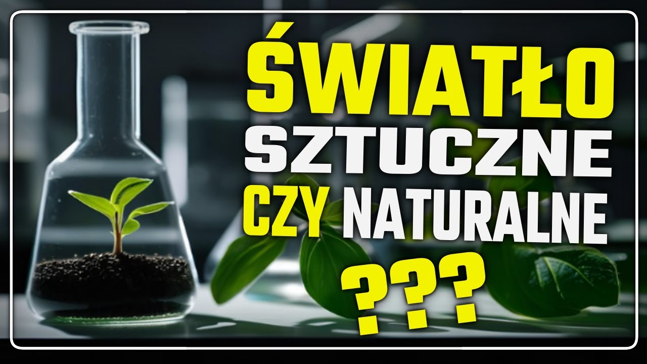 SŁOŃCE czy LED - eksperyment z doświetlaniem rozsad