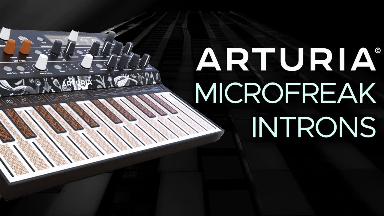 Arturia MicroFreak Presets for Ambient, IDM, Dub and Melodic Techno (Sound Demo) No Talking