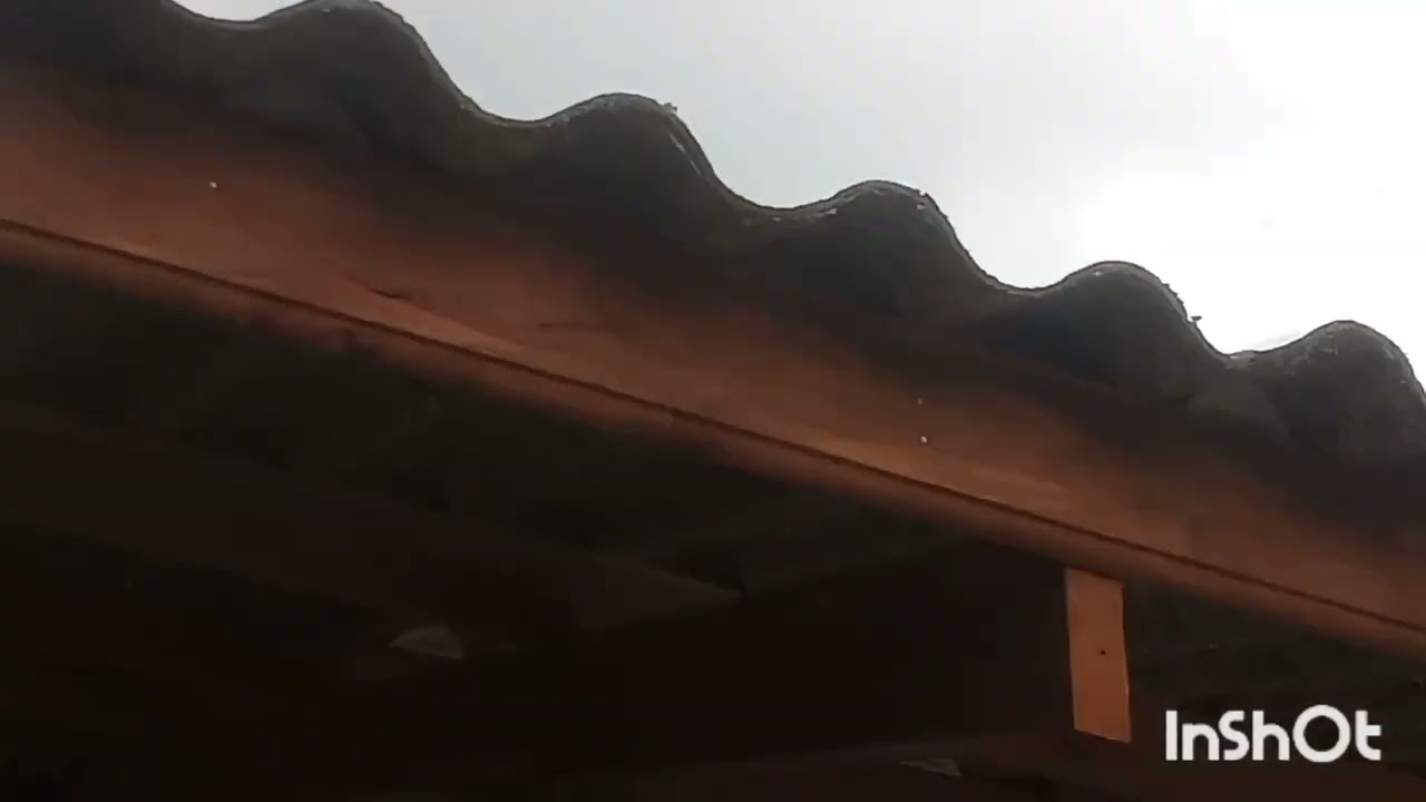 telha  ecológica sobre uma estrutura de madeira!