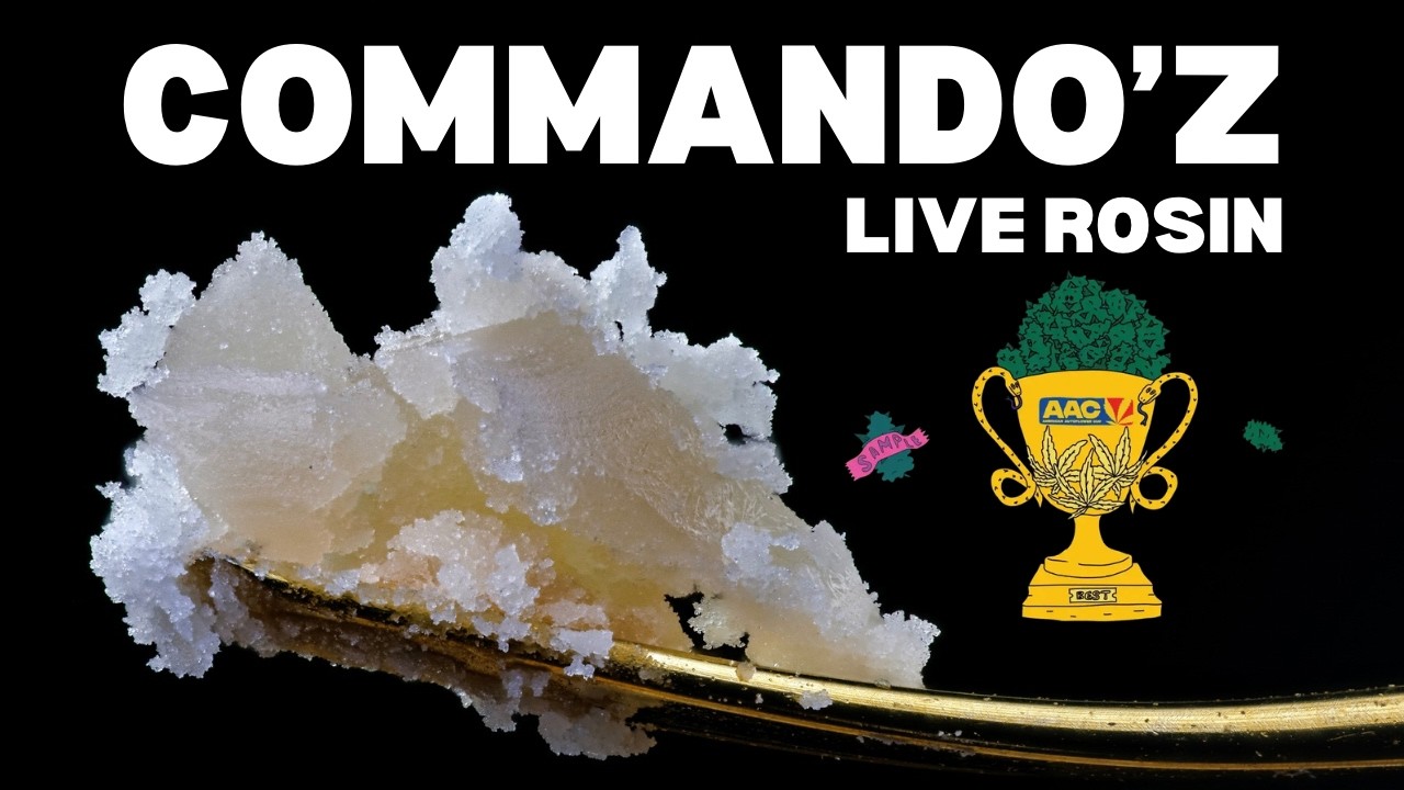 Обзор живой канифоли CommandO'z