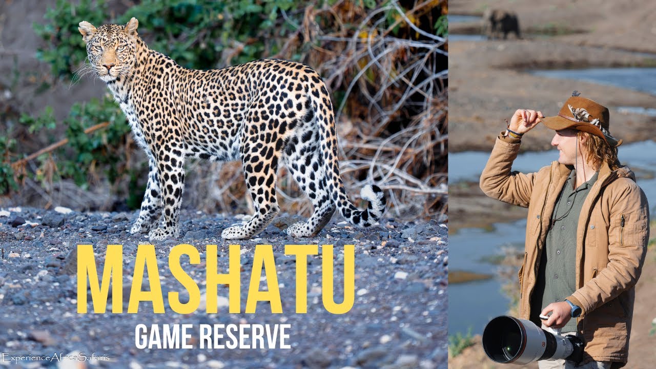 Mashatu Game Reserve in Botswana (3 Lodges Reviewed in May 2025)