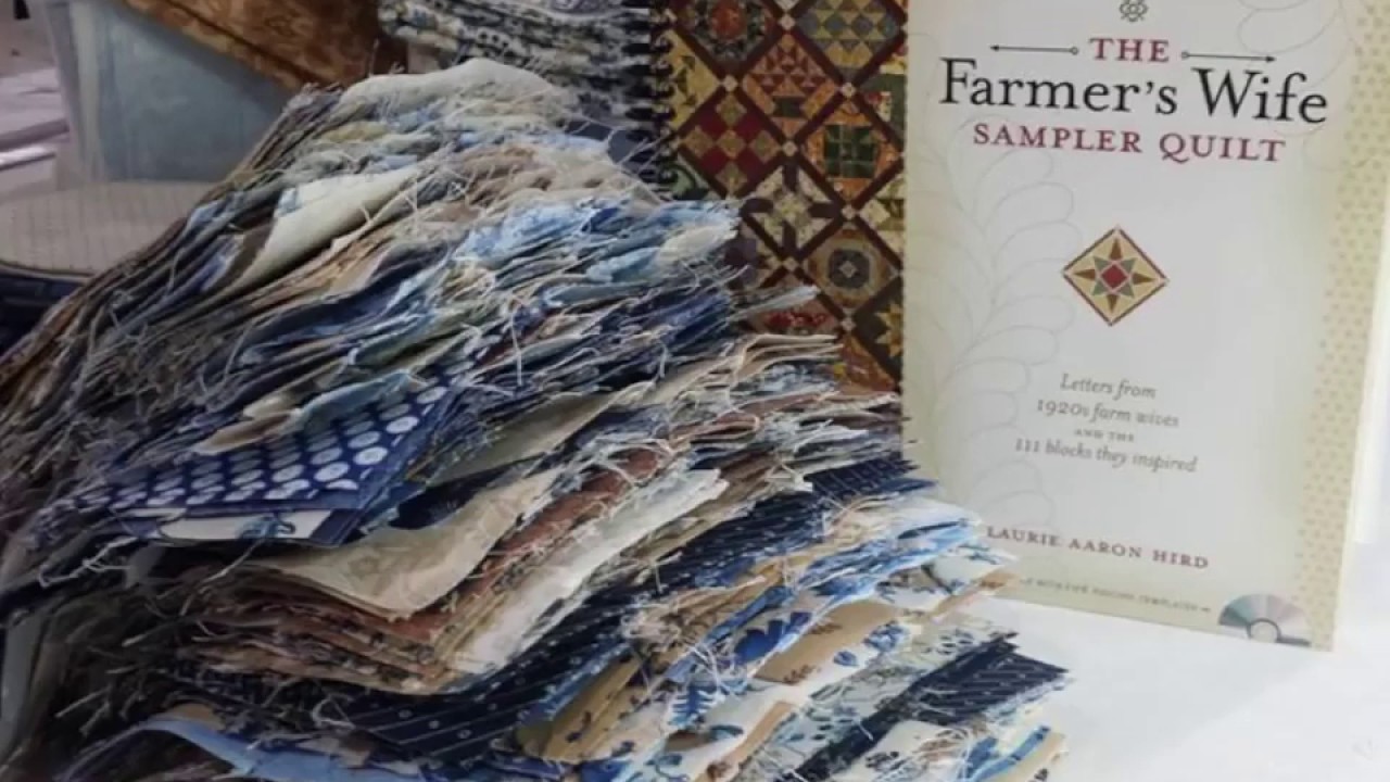 Farmer's Wife Sampler Quilt~The Blue Collection by Karen Walker