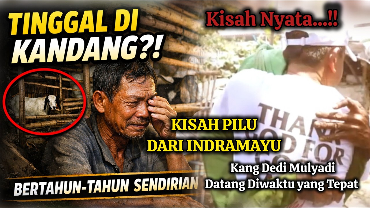 Kisah Nyata. Tinggal di Kandang Kambing, Nasib Bapak Ini Berubah Saat Kang Dedi Mulyadi Datang!.
