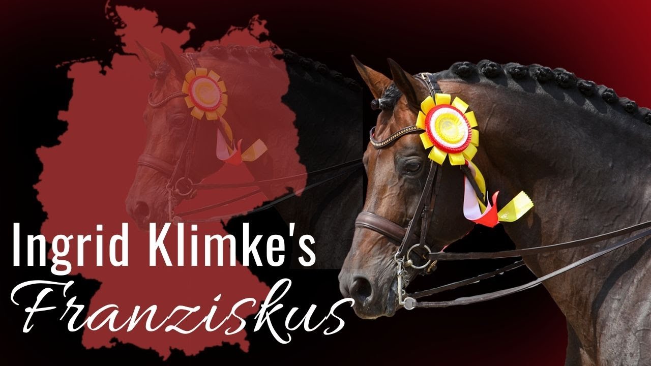 Ingrid Klimke's Franziskus 😍 | Ein einzigartiger Werdegang von einem ganz besonderen Hengst!