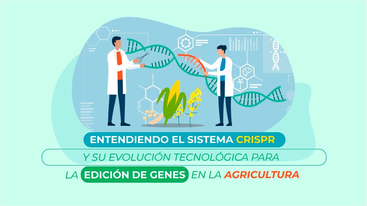 Entendiendo el sistema CRISPR y su evolución tecnológica para la edición de genes en la agricultura