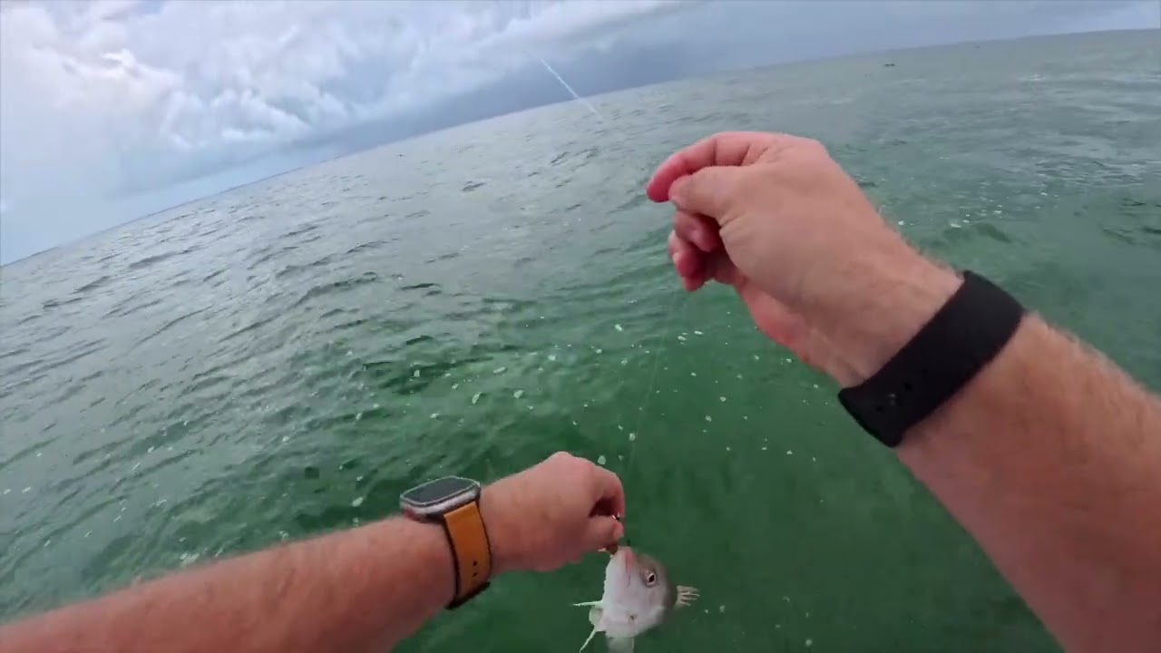 Unbelizable fishing in Belize City: Barracuda, Snapper & Boat-side Ceviche