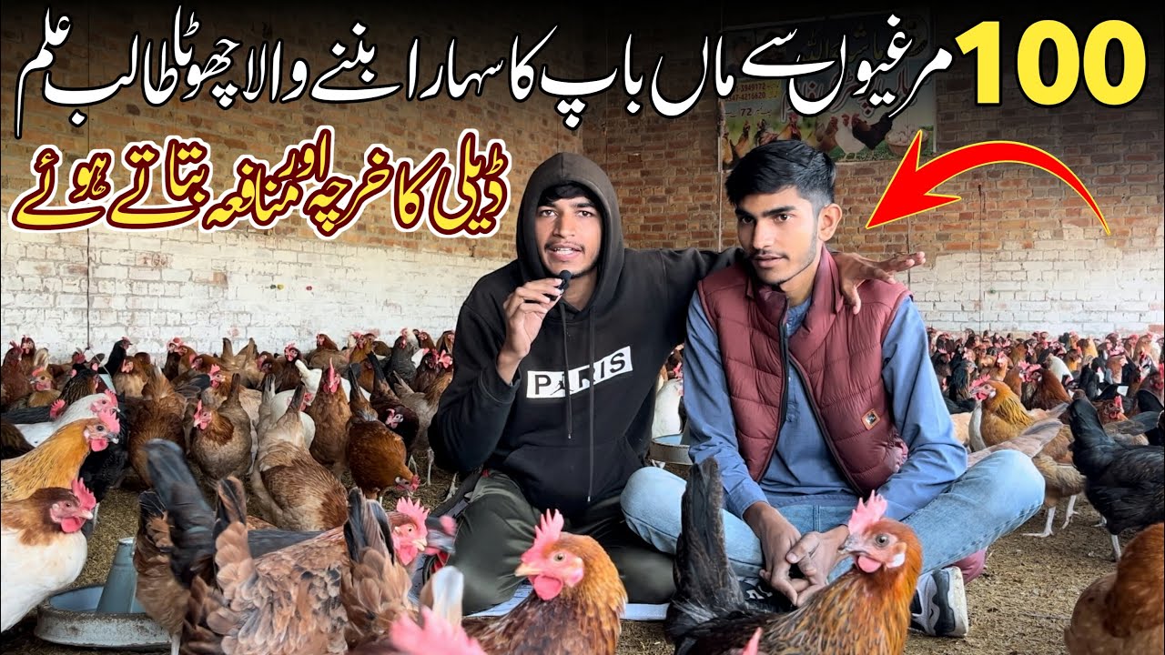 50 Murgiyo Se Business Start Krne Wala | How To Start Poultry Farming | Desi Poultry Farm Plan