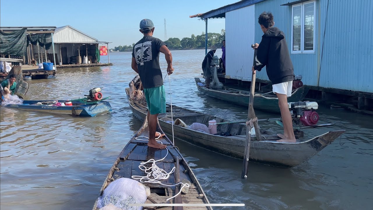Chài Bè Dời Đông Quá #fishing #mientay 