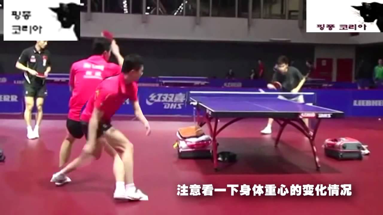 마롱 탁구 기술 분석 마롱에게 배우는 포핸드 드라이브(malong forehand top spin drive)