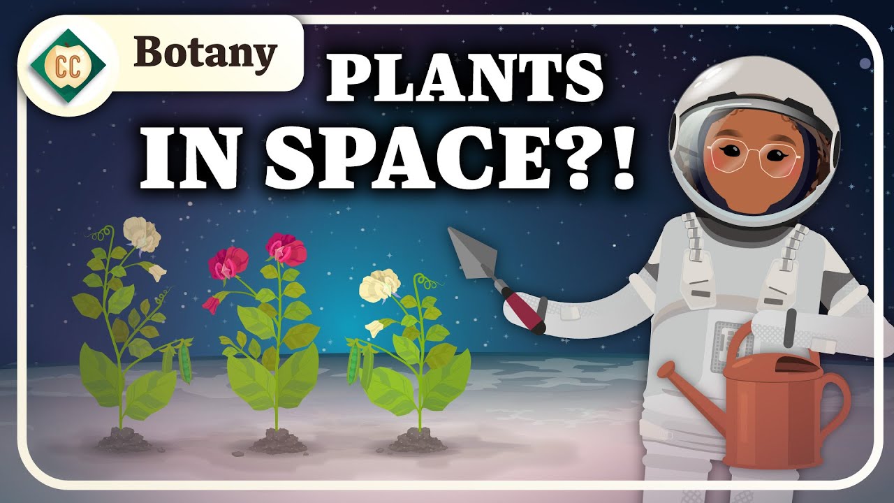 The Future of Botany: Crash Course Botany #15