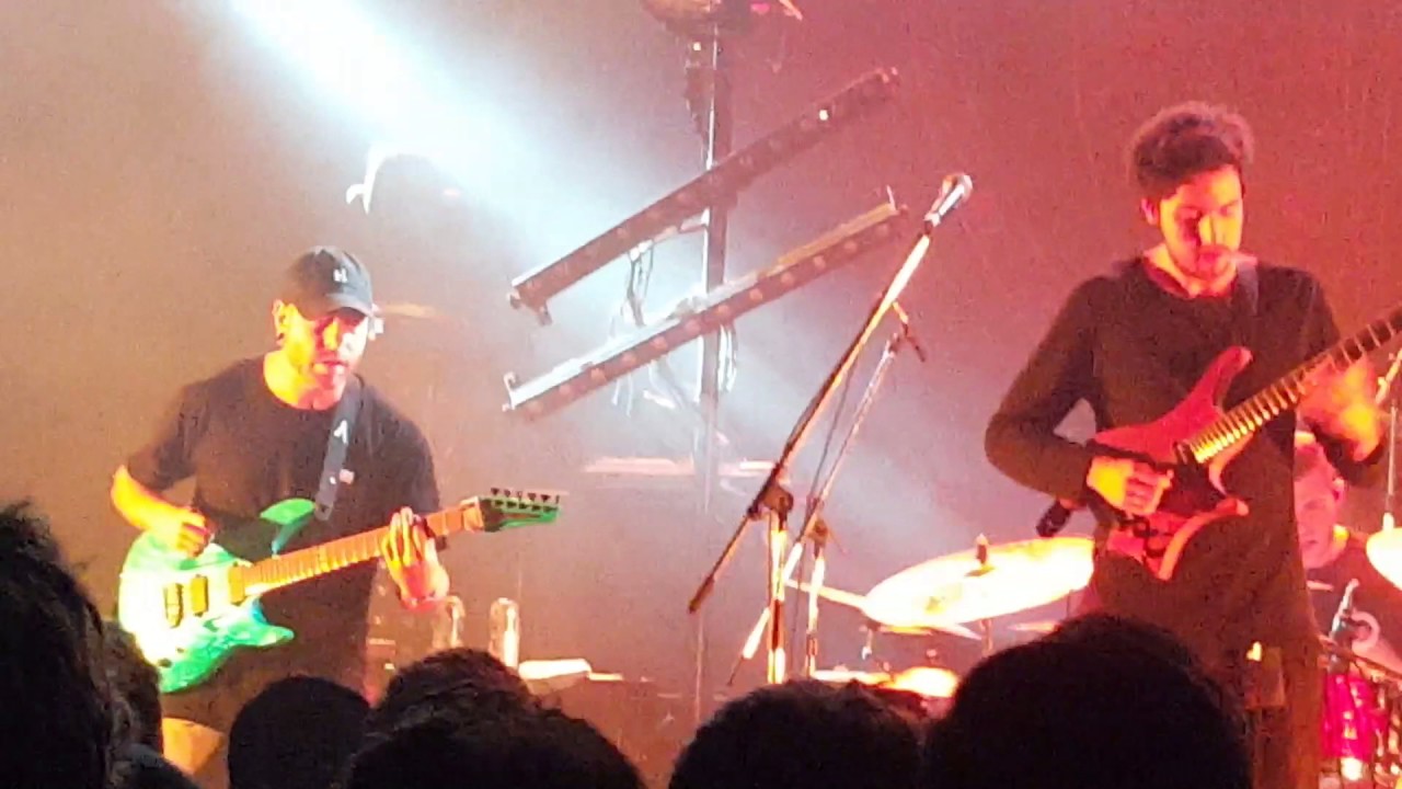 Plini - Selenium Forest (LIVE) // Animals As Leaders - The Madness of Many Tour