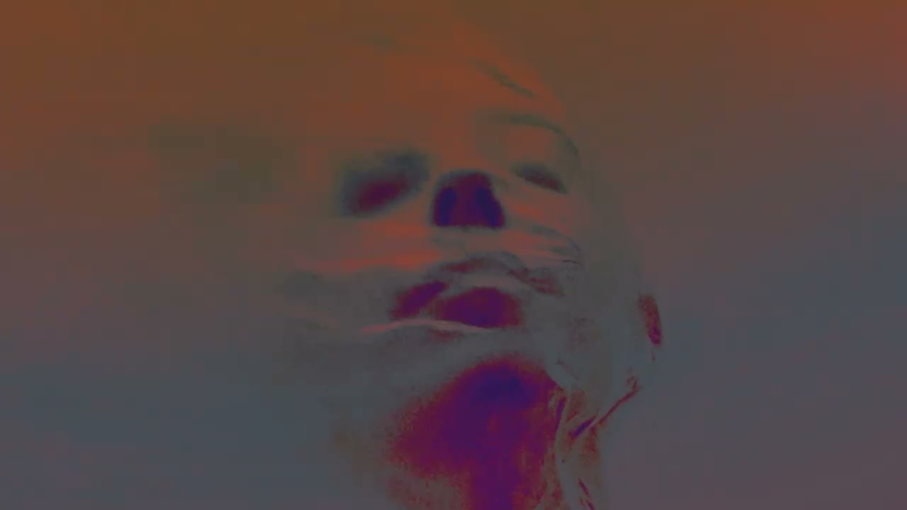 Blackwater Holylight - Involuntary Haze (OFFICIAL VISUALIZER)