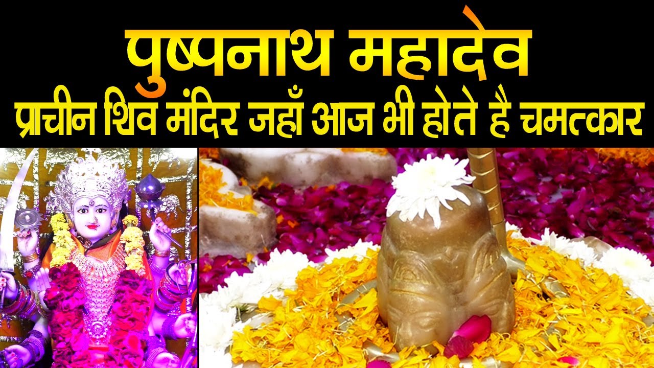 अहमदाबाद में रहते हैं? फिर भी नहीं देखा 700 साल पुराना पुष्पनाथ महादेव मंदिर? #mahadev #ahmedabad 