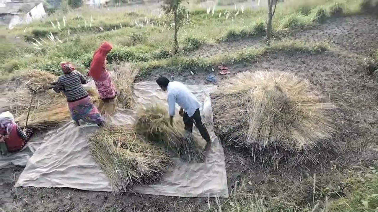 आज क्या है हमारी और क्या बनाया में ने 