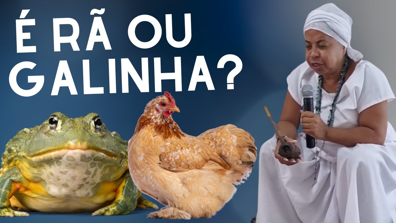 🤔 É Rã ou Galinha? | Histórias da Vovó Maria Conga